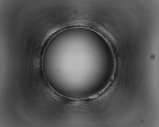 X0000102481166200808081258