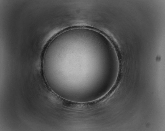 X0000102481167200808081258