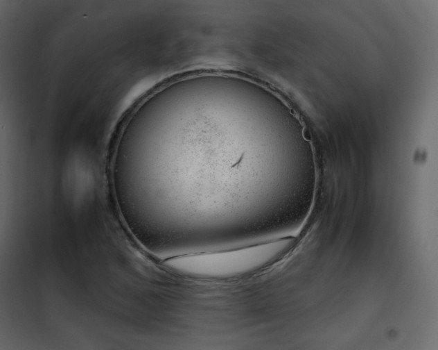 X0000102481168200808081258