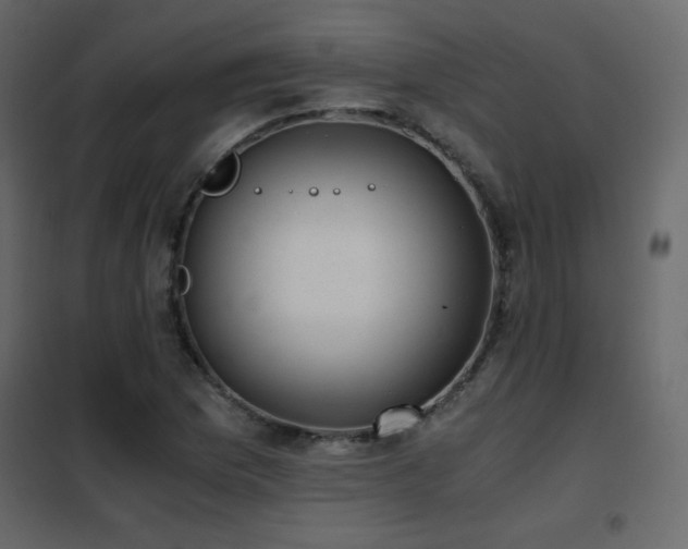X0000102481169200808081258