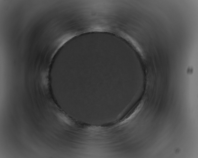 X0000102481170200808081258