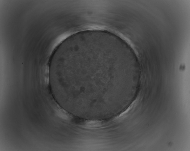 X0000102481171200808081258