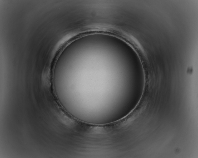 X0000102481172200808081258