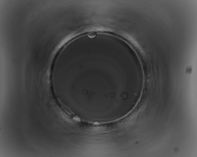 X0000102481173200808081258