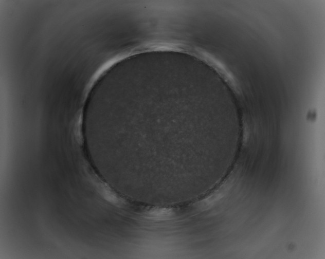 X0000102481174200808081258