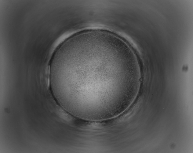 X0000102481175200808081258