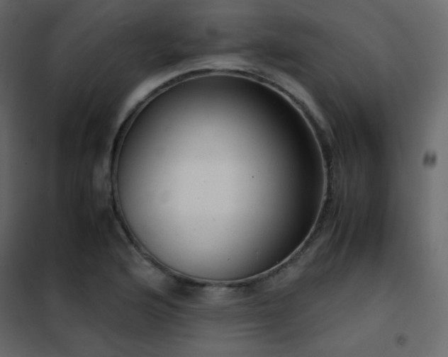 X0000102481176200808081258