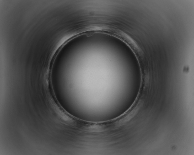 X0000102481178200808081258