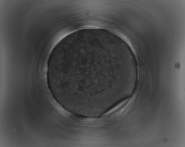 X0000102481179200808081258