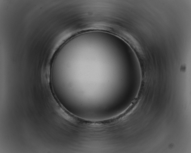 X0000102481180200808081258