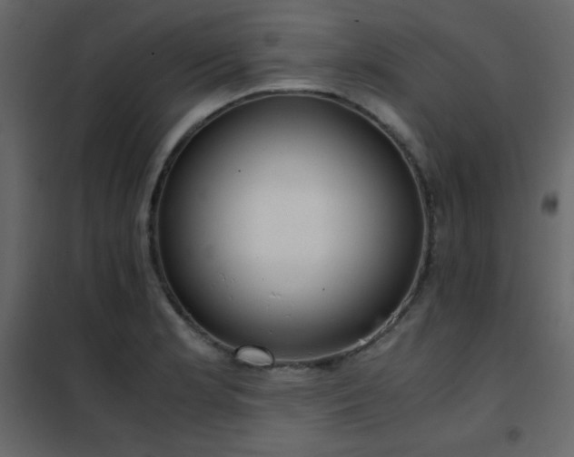 X0000102481181200808081258