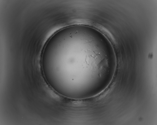 X0000102481182200808081258