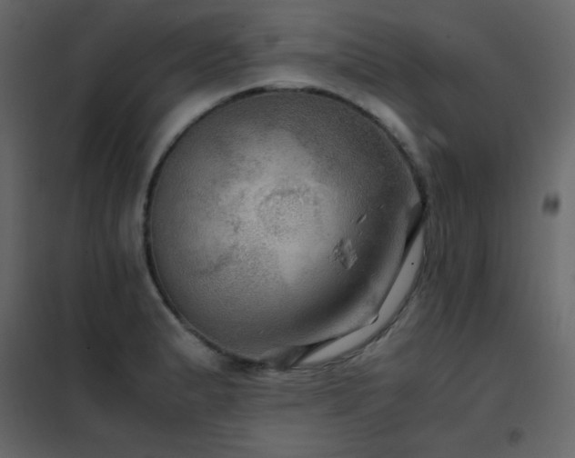 X0000102481183200808081258