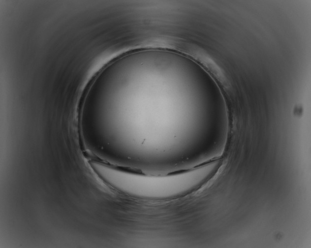 X0000102481184200808081258