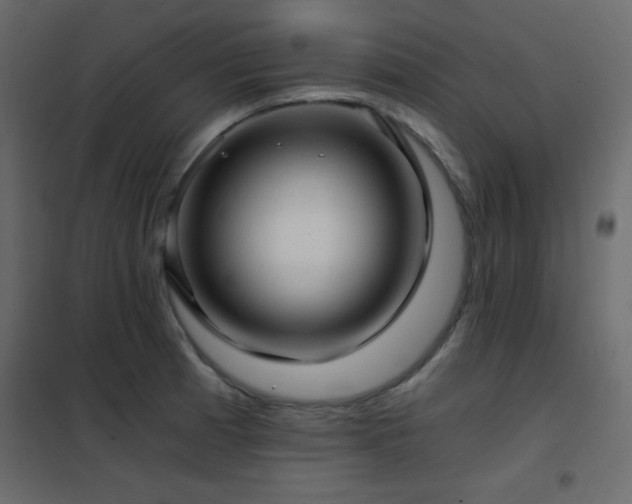 X0000102481185200808081258