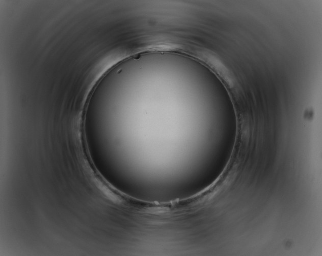 X0000102481186200808081258