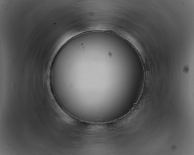 X0000102481187200808081258