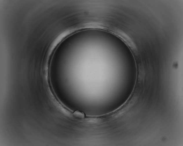 X0000102481188200808081258