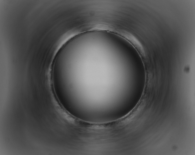 X0000102481190200808081258