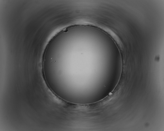 X0000102481191200808081258