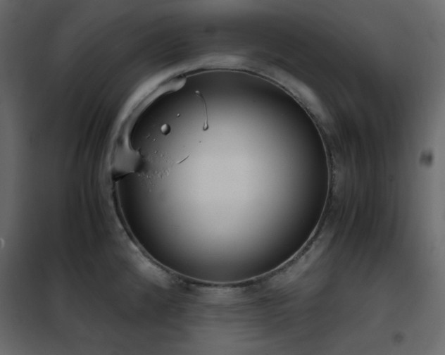 X0000102481192200808081258