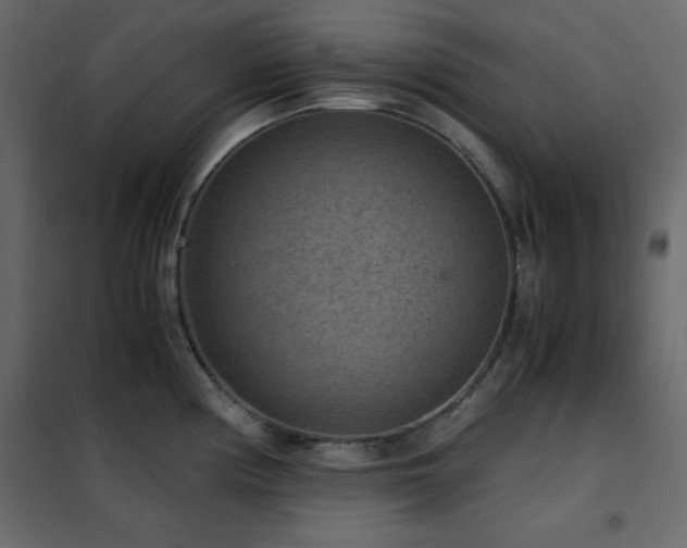 X0000102481194200808081258