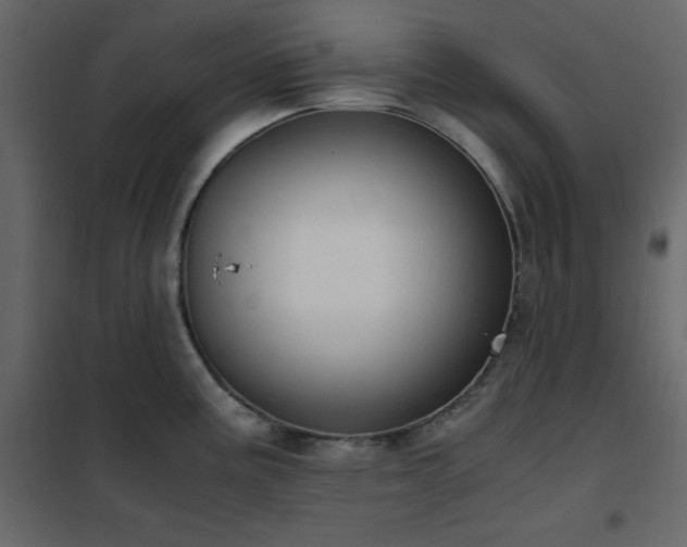 X0000102481195200808081258