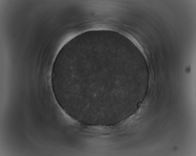 X0000102481197200808081258