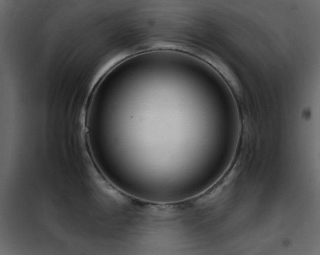 X0000102481198200808081258