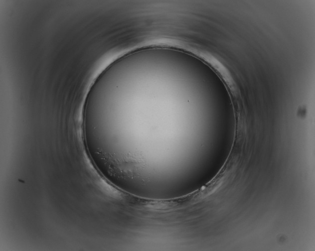 X0000102481199200808081258