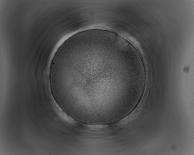 X0000102481200200808081258