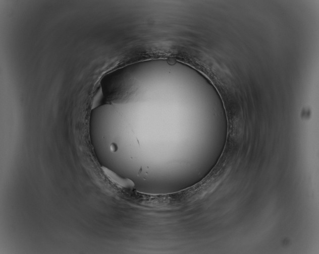 X0000102481201200808081257