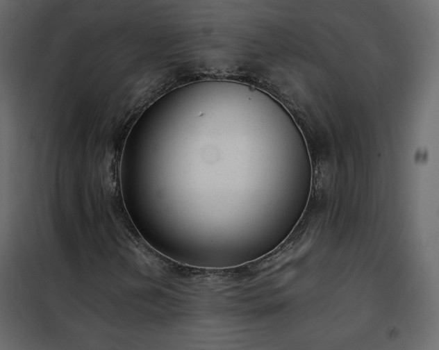 X0000102481202200808081257