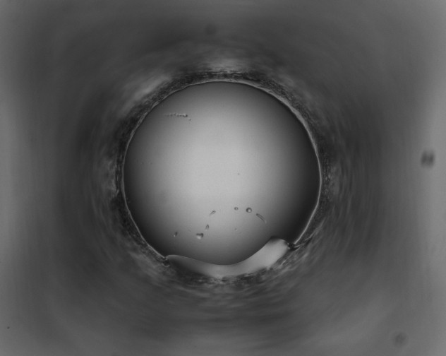 X0000102481205200808081257