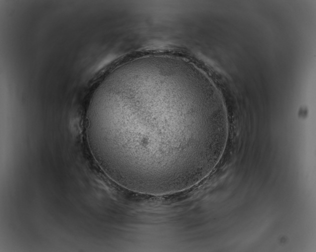 X0000102481206200808081257