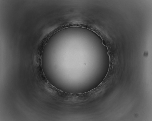 X0000102481207200808081257