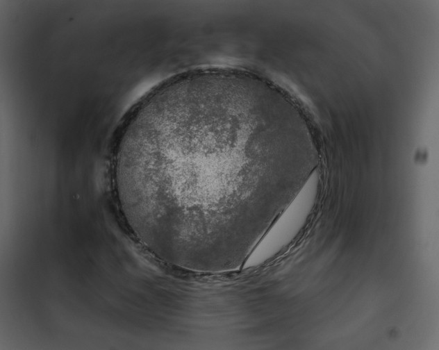 X0000102481208200808081257