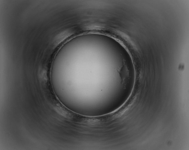 X0000102481209200808081257