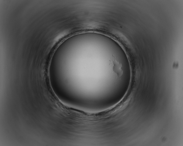 X0000102481210200808081257