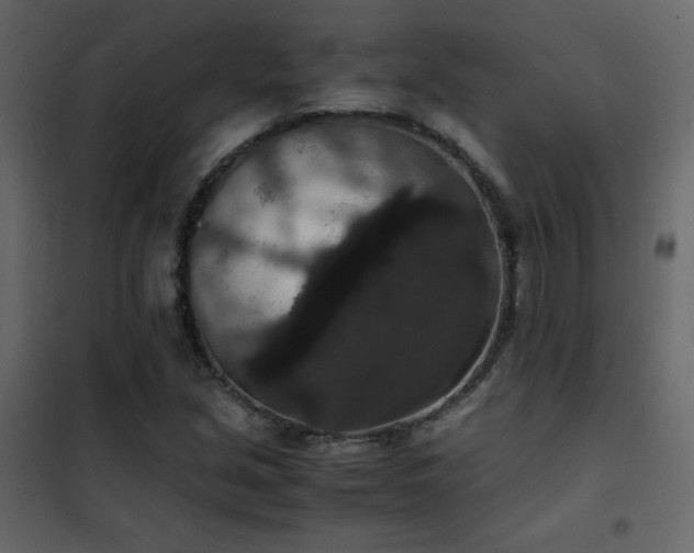 X0000102481213200808081257