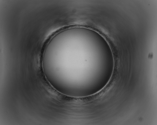 X0000102481214200808081257