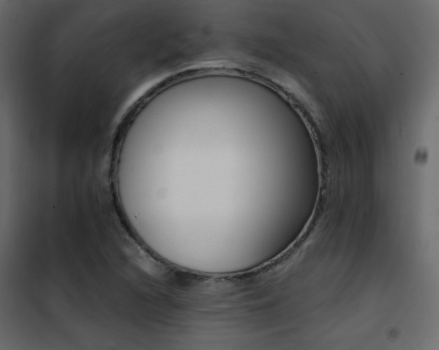 X0000102481216200808081257