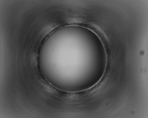 X0000102481217200808081257