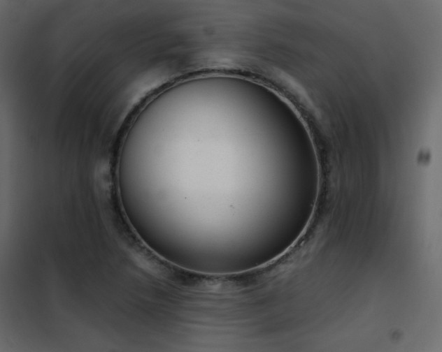 X0000102481218200808081257