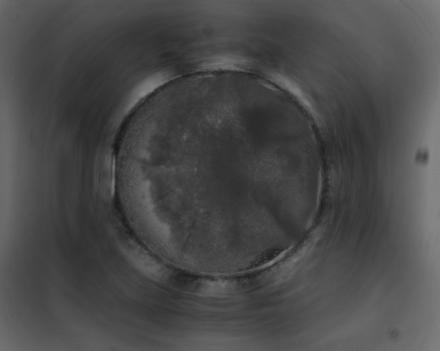 X0000102481219200808081257