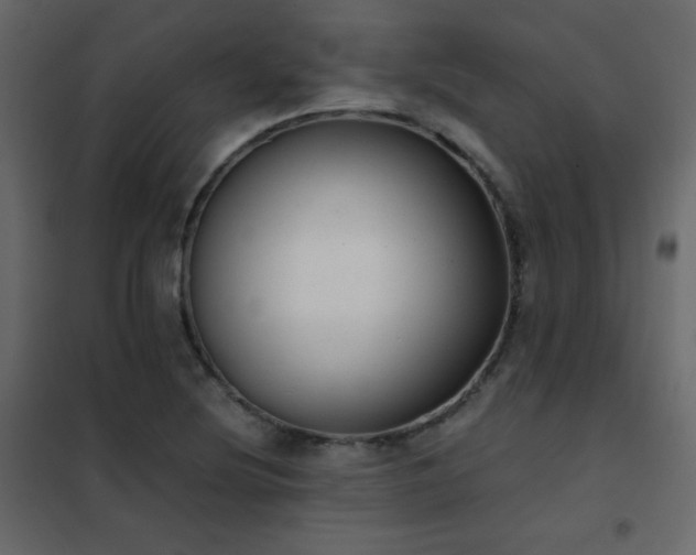 X0000102481220200808081257