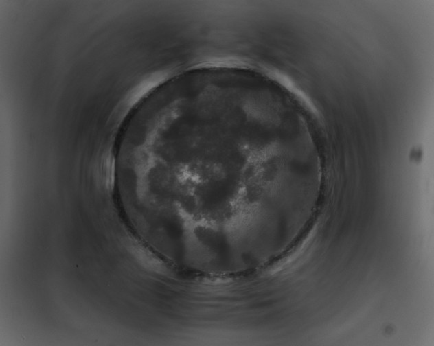 X0000102481221200808081257