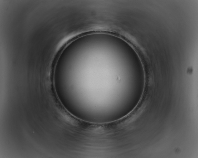 X0000102481222200808081257