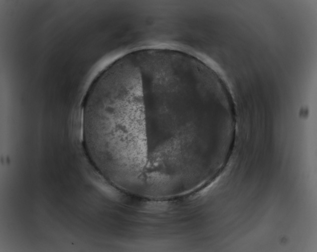 X0000102481223200808081257