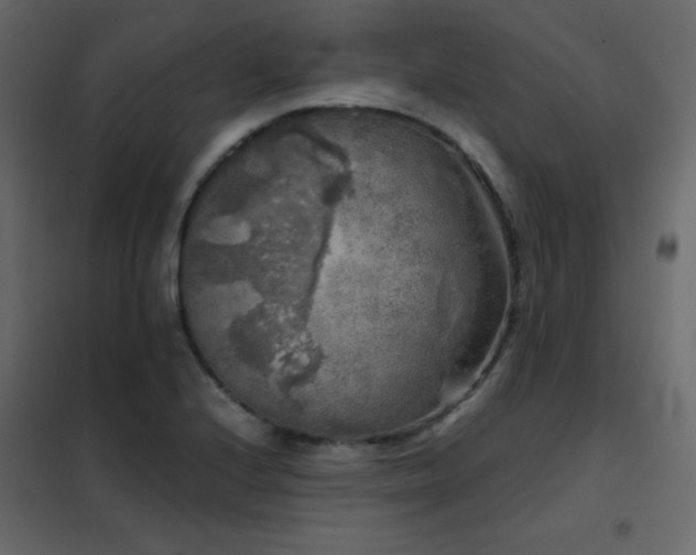 X0000102481224200808081257
